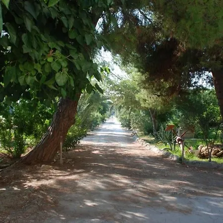 Punta Milocca Sleeps 2 Wifi T764342 Apartment Terrauzza
